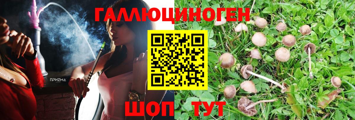 Псилоцибиновые грибы мицелий  Вход с VPN  Тюмень  что такое   Галлюциногенные грибы ЛСД 