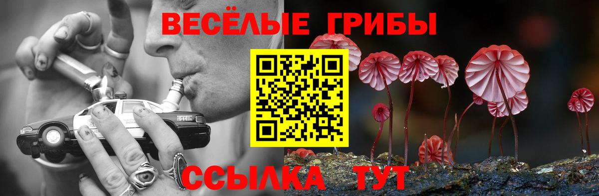 Галлюциногенные грибы Cubensis Тюмень